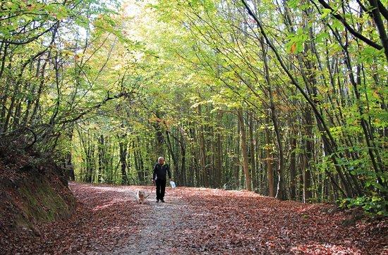 Polonezköy Tabiat Parkı